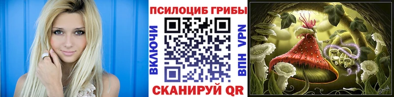 Купить закладки  Кирс  Псилоцибиновые грибы MAGIC MUSHROOMS 